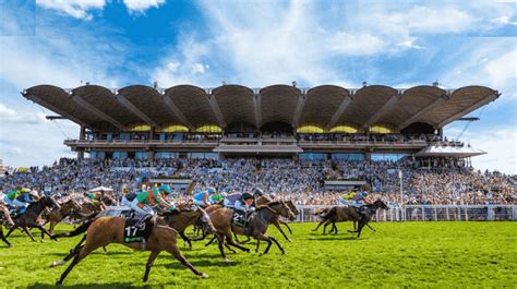 Best Goodwood Betting Offers 2022 .